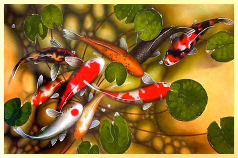 9 Fish Feng Shui.